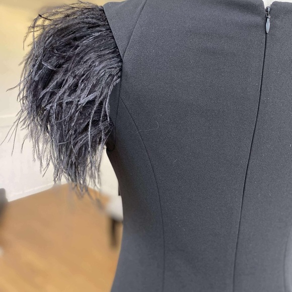 Elegant Black Dress with Feathered Sleeves - Picture 5 of 7